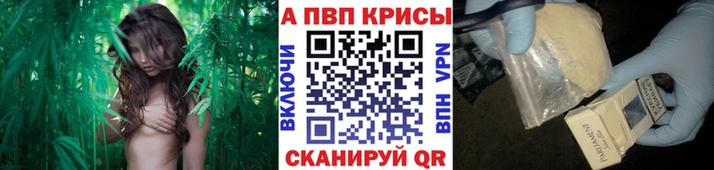 A PVP мука  Купить  Бронницы 