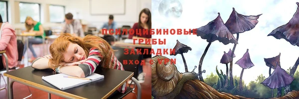 герыч Горняк