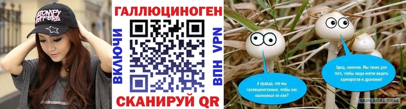Псилоцибиновые грибы Psilocybe  Купить  Бронницы 